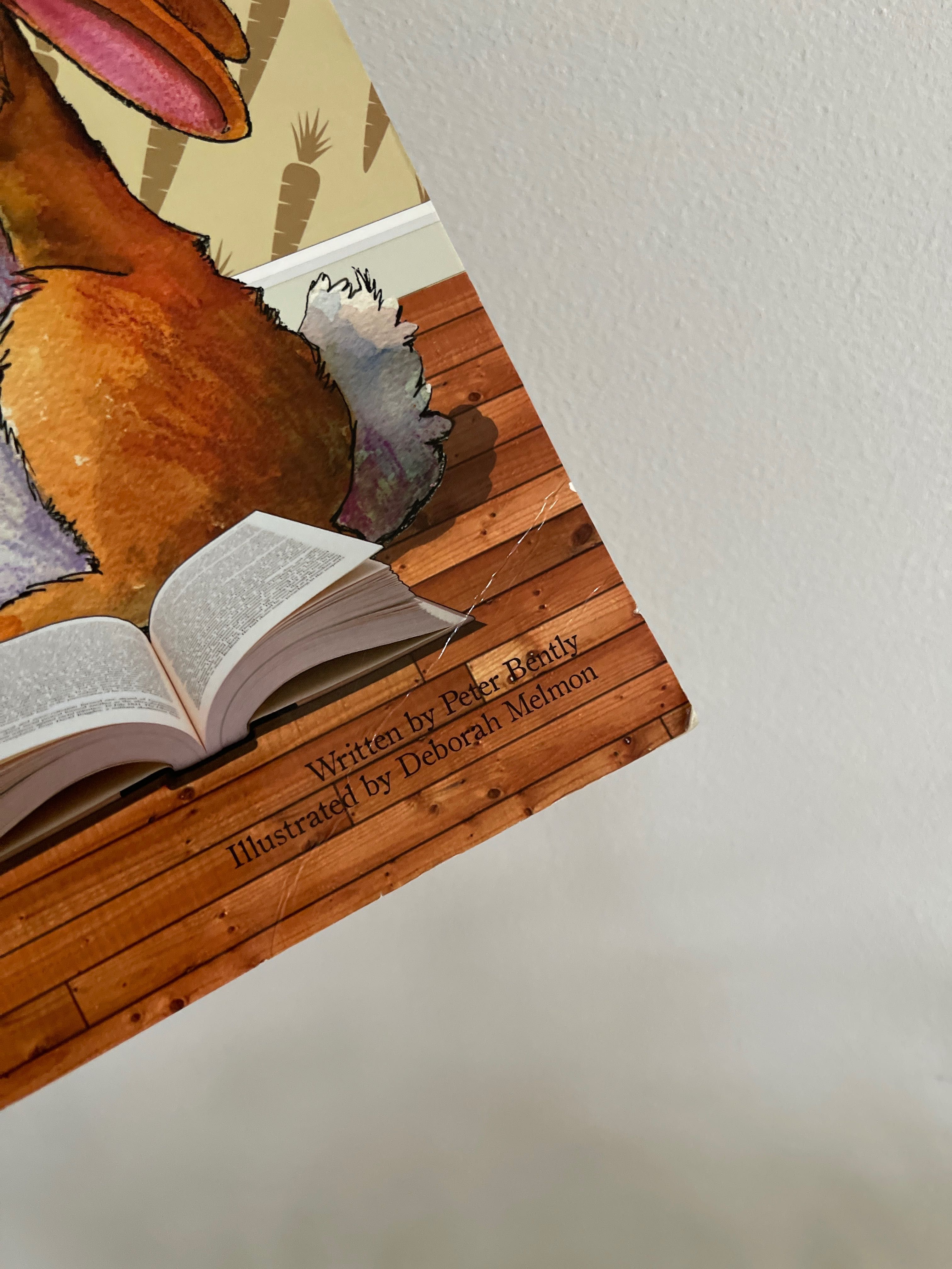 Bunny loves to read, książeczka po angielsku, książka po angielsku