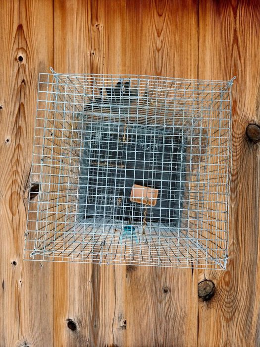 Клітка для гризунів, клетка для грызунов (хомяков, крыс, мышей, шиншил