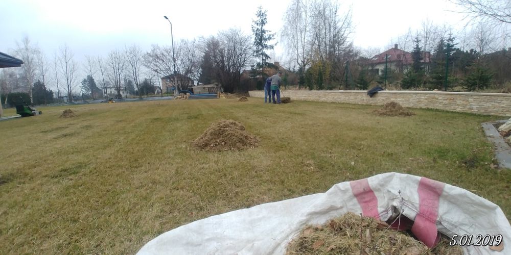 Przycinanie tui i żywopłotów, wertykulacja trawnika, koszenie traw