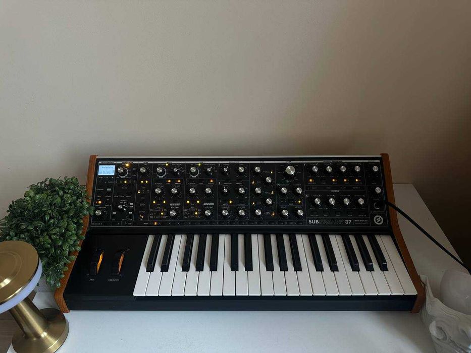 Sprzedam Moog Subsequent 37
