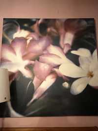 Obraz ikea fioletowe kwiaty