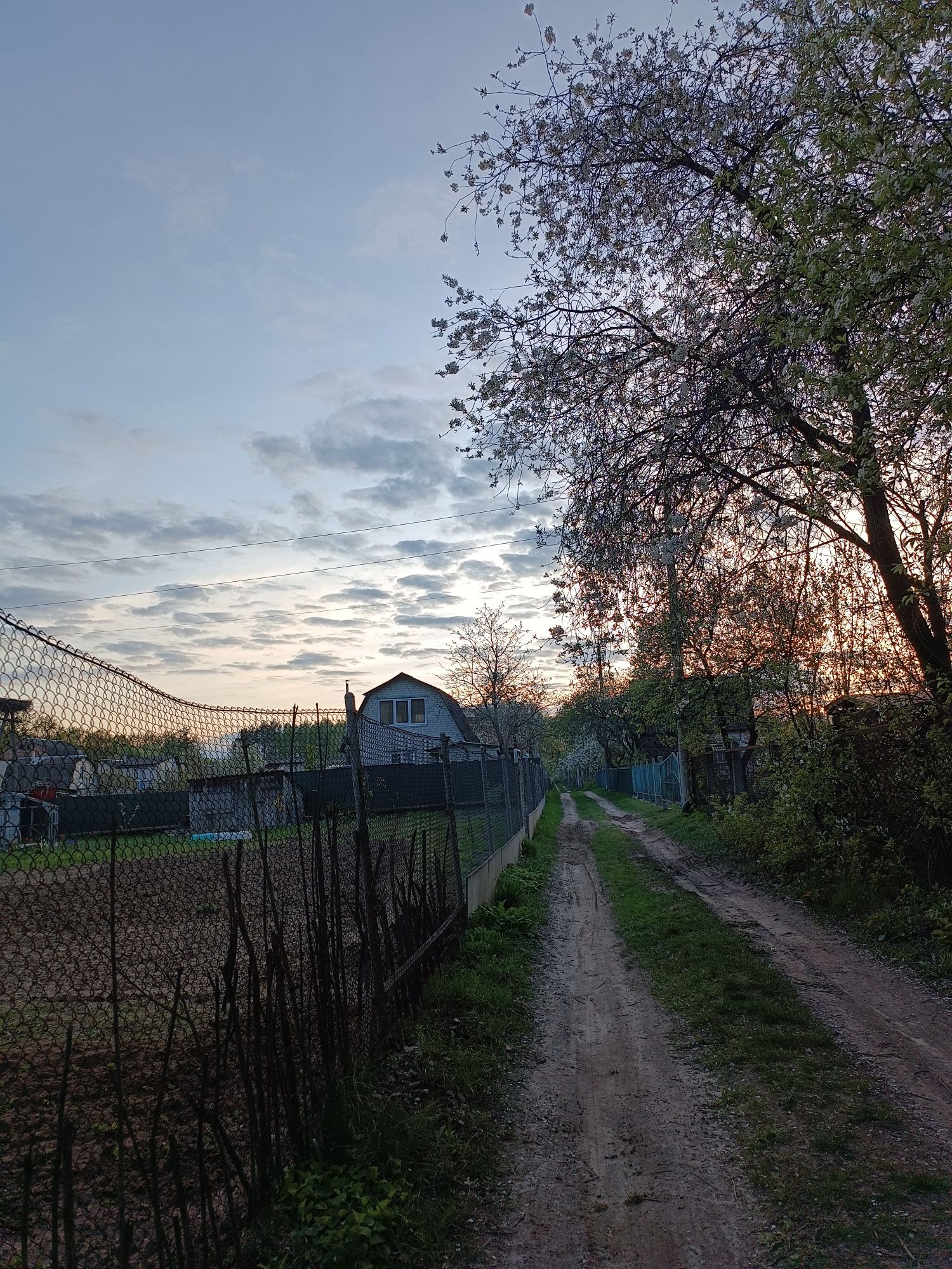 Земельна ділянка, дача