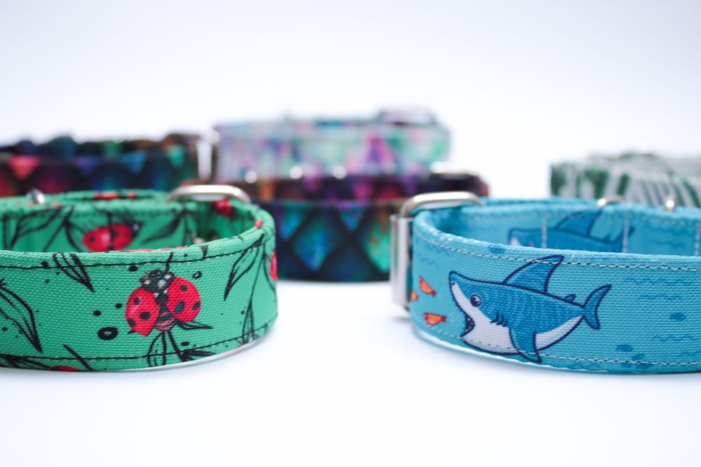 Obroża dla psa mocna regulowana 3cm wzory dostepne klamra dziurki