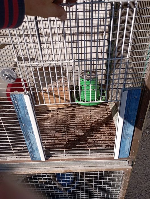 Viveiro de pássaros