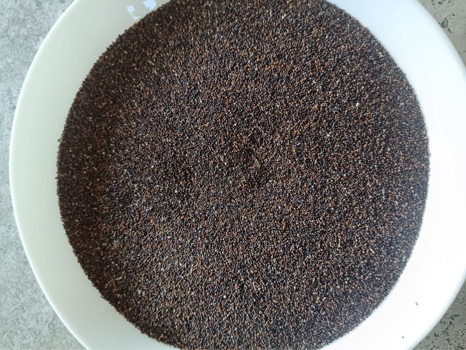 Sprzedam nasiona tymianku (Zbiór 2025)