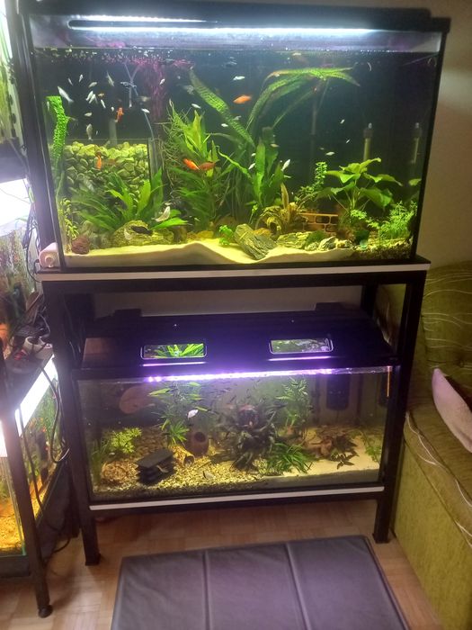 Akwarium 2 sztuki + regał