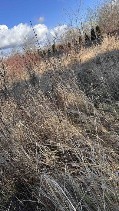 Продам дачу біля міста