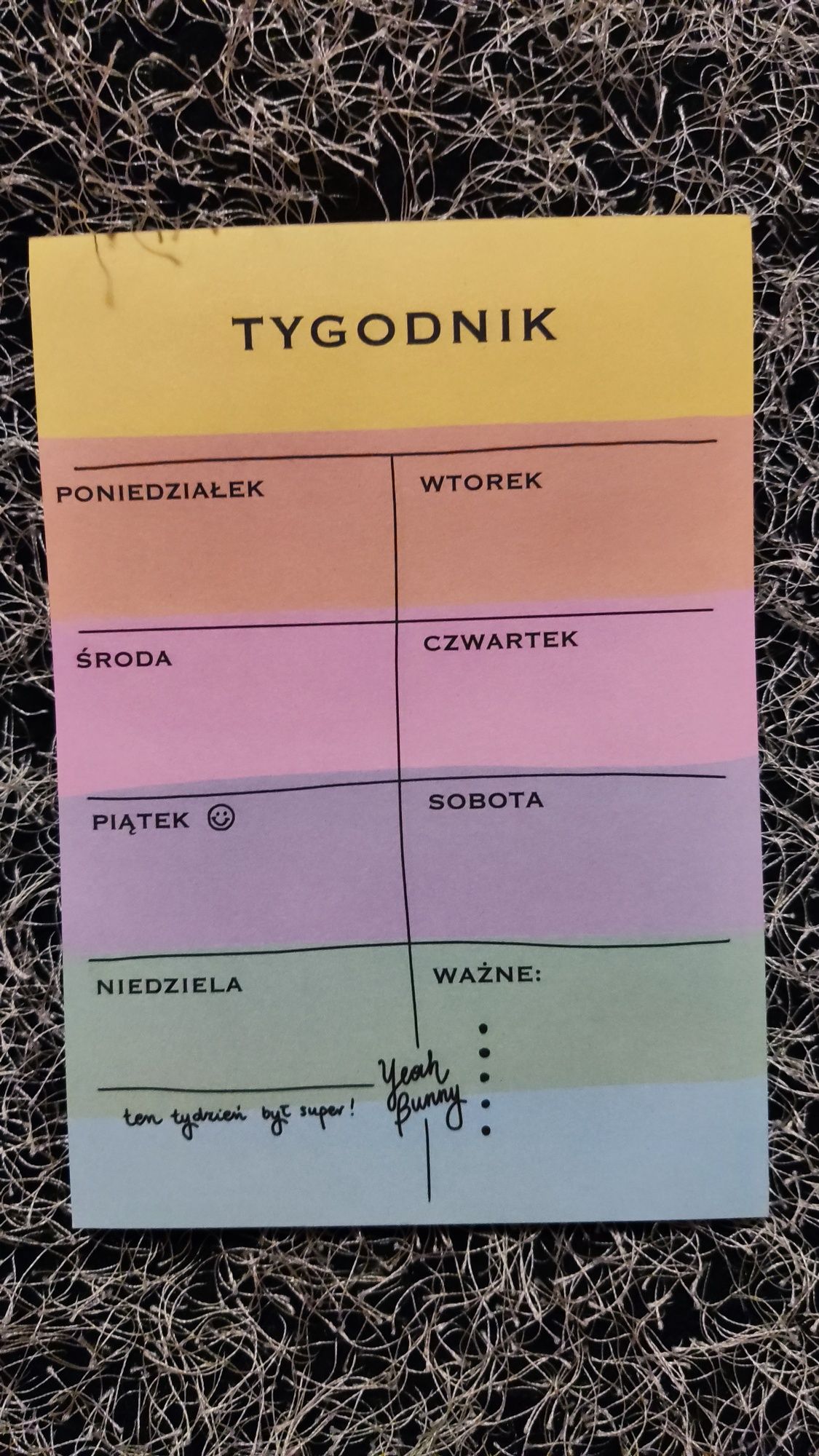 Notes tygodnik Yeah Bunny