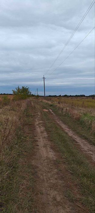 Земельна ділянка 23 сотки, с. Бишів Київська область