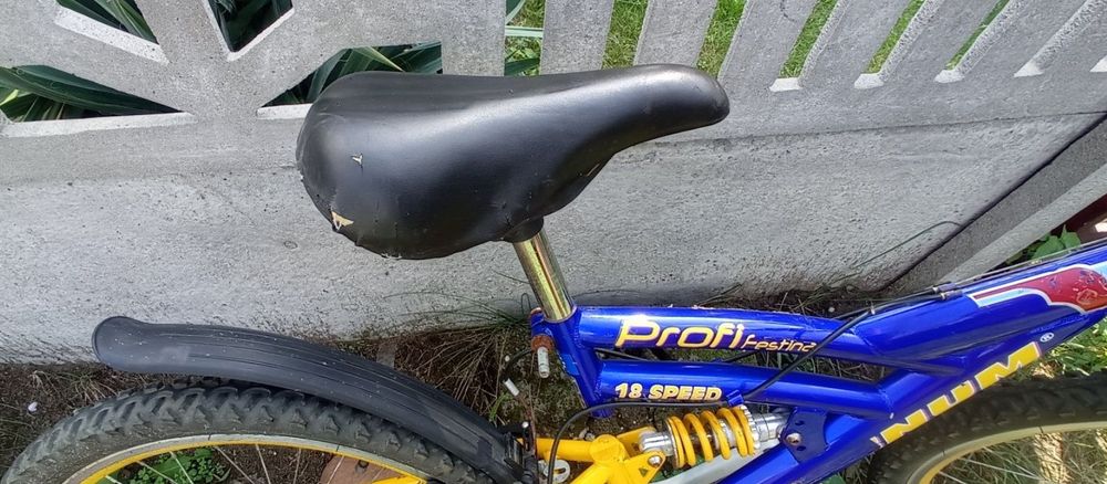 Rower Magnum Profi Festina 18 Speed