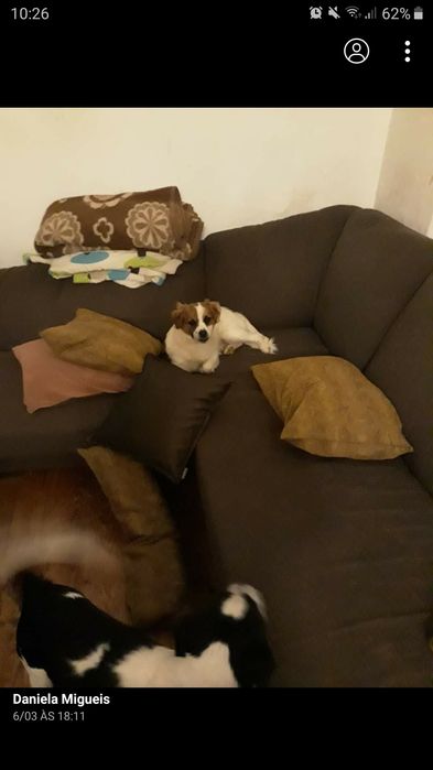 Sofa de canto com cama e chaise long