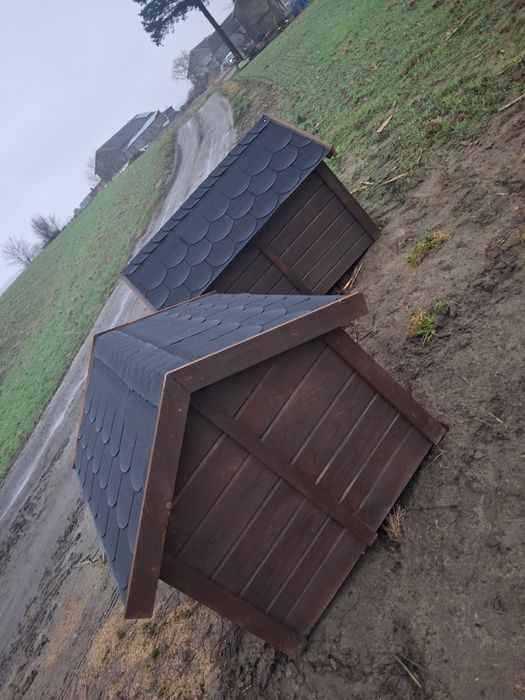 Bardzo duża buda dla psa