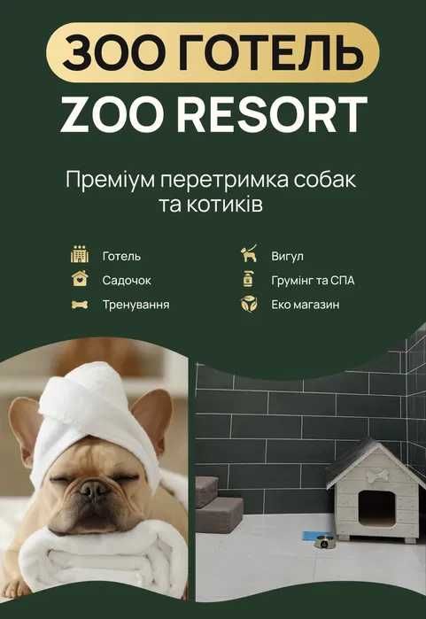 Супровід тварин на подіях чи при перевезенні / Няня для тварин / Вигул