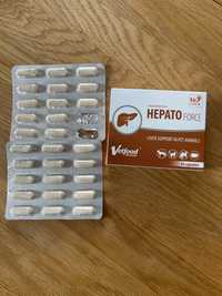 Zestaw Hepaxan Probiotic Hepatoforce wspomaganie wątroby kot