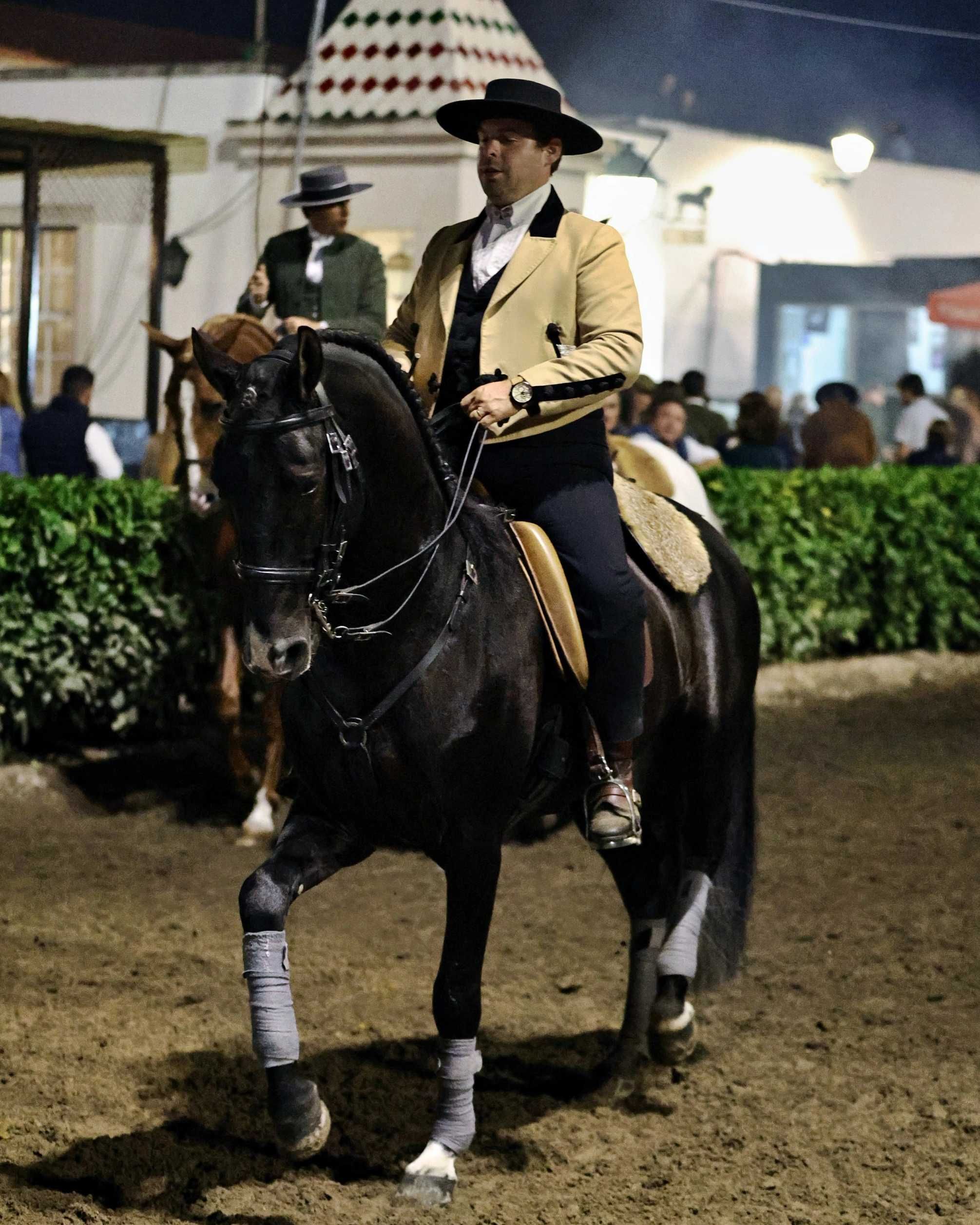 Trabalho e ensino de cavalos