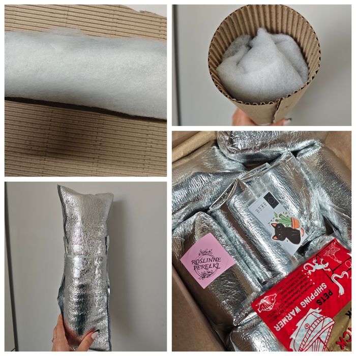 Sansevieria Pink Cell