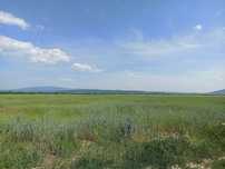 Продається 4 ділянки по 1 га в с.Коритняни ( 4 га)