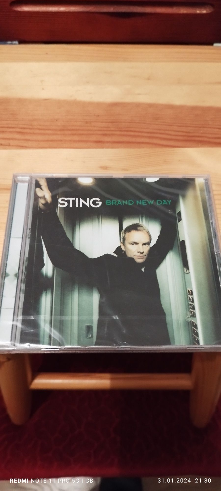 Sprzedam płytę CD Sting brand new Day płyta jest nowa