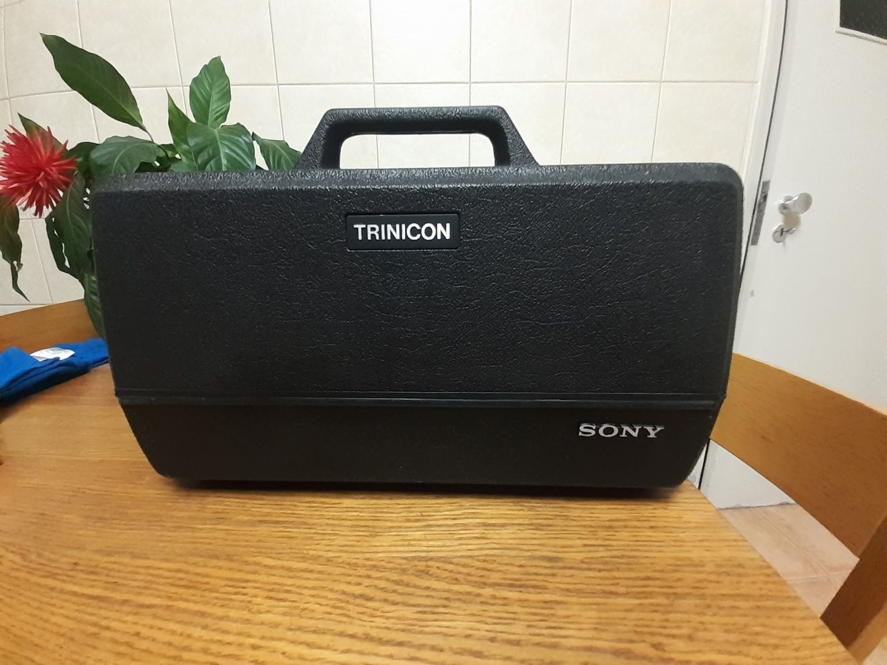 Camera Sony Trinicon