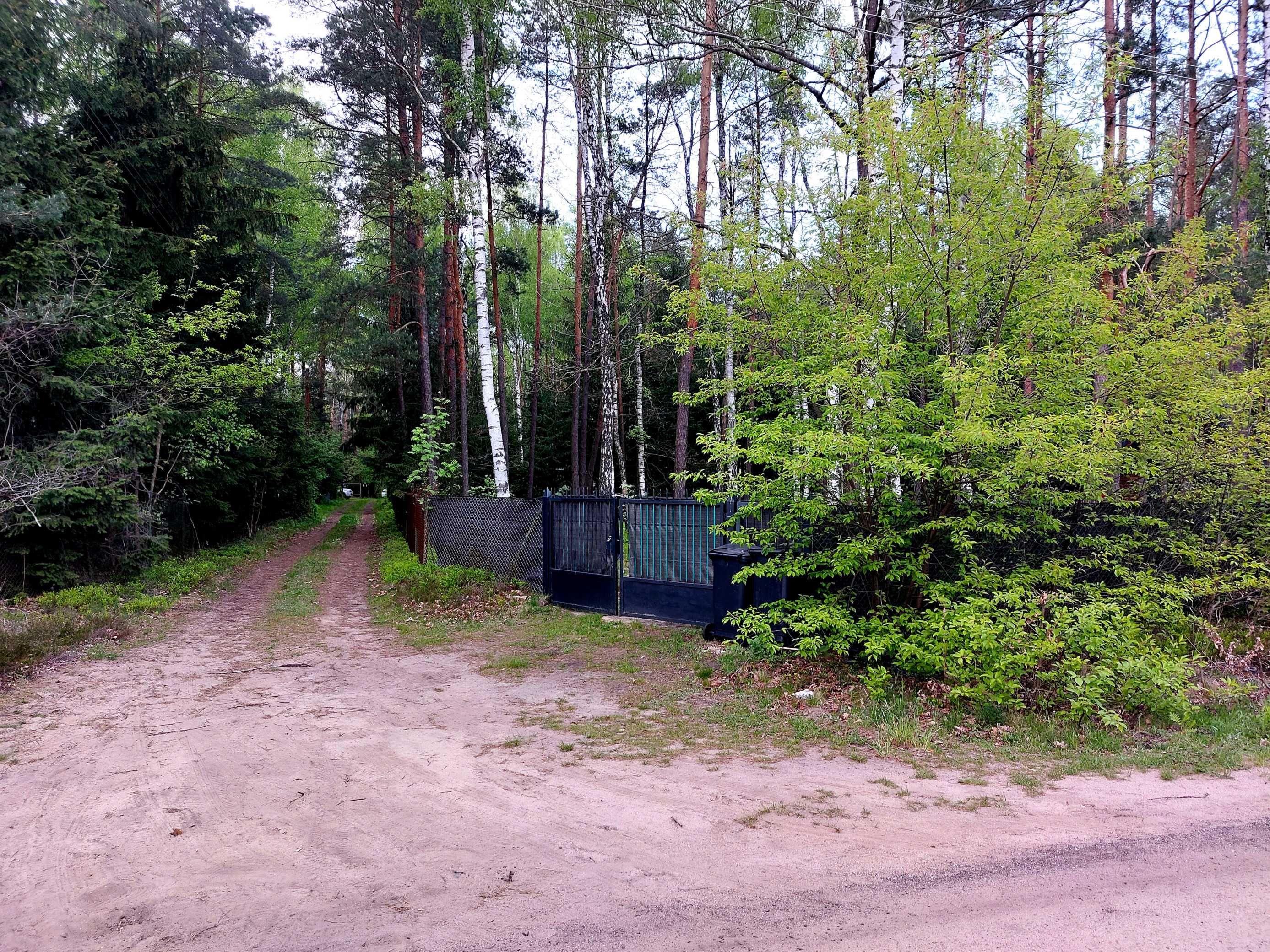 Działka jak z bajki – las, spokój, natura!