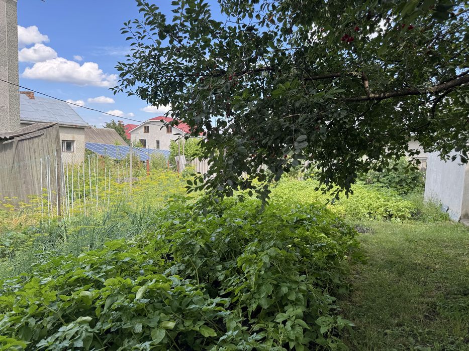 Продаж половини будинку Гаї Шевченківські