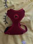 Nowe szelki rozmiar XS