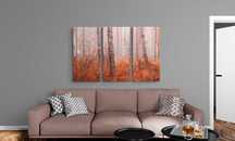 Fotoobraz. Plakat. Fotografia. Przyroda. Mglisty Las Brzozowy 40x30 cm