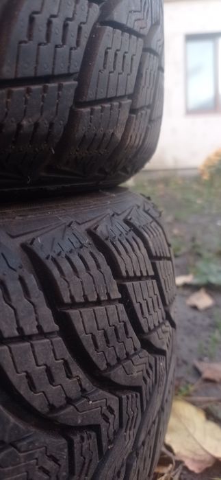 Шини 205/60 r16 premiorri