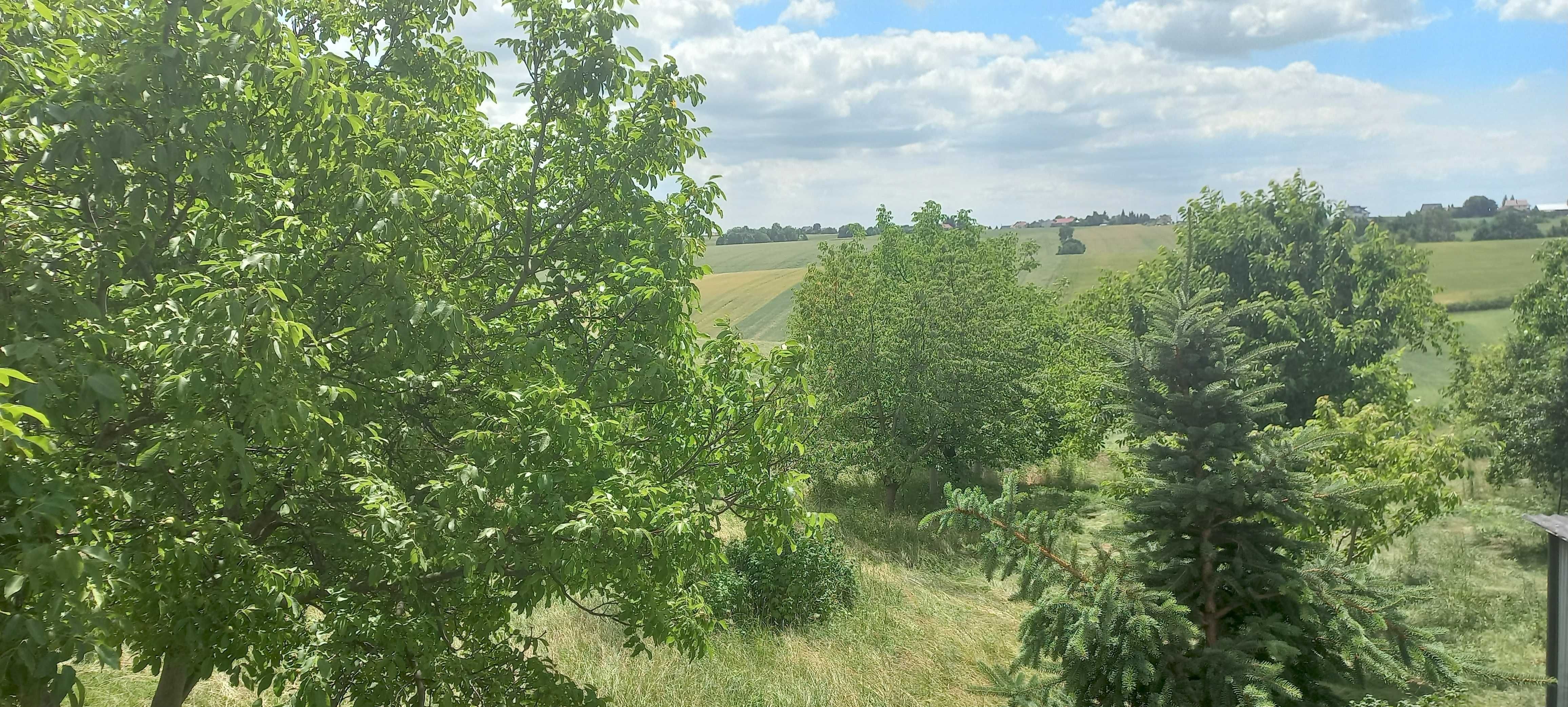 Na sprzedaż dom jednorodzinny w Celinach (gm. Iwanowice)