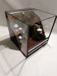 Terrarium dla gekona orzęsionego, płaczącego, pająka TW05T AquaWaves