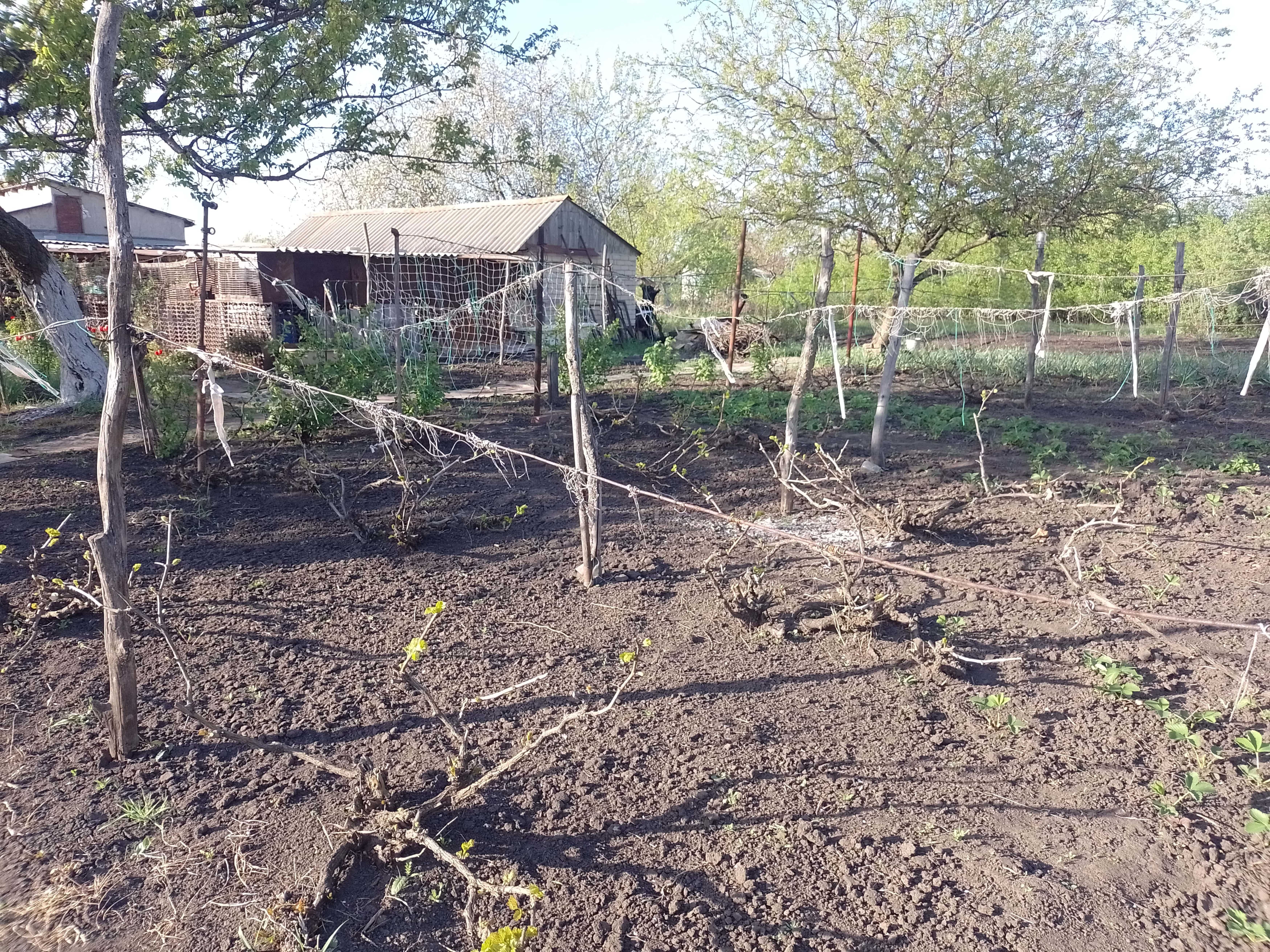 Продам дачу Чугуевское направление.