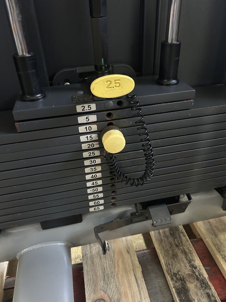 Technogym selection rotary torso