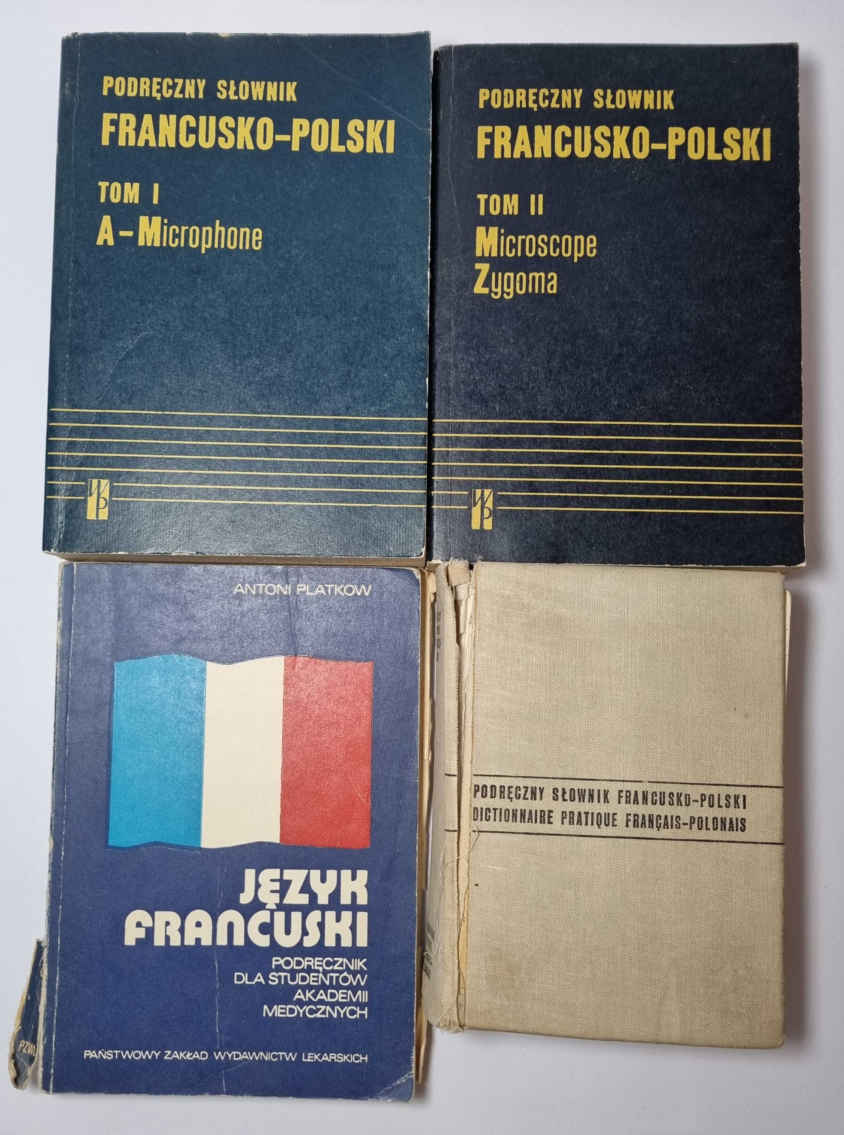 Zestaw książek do nauki języka francuskiego francuski gramatyka słowni