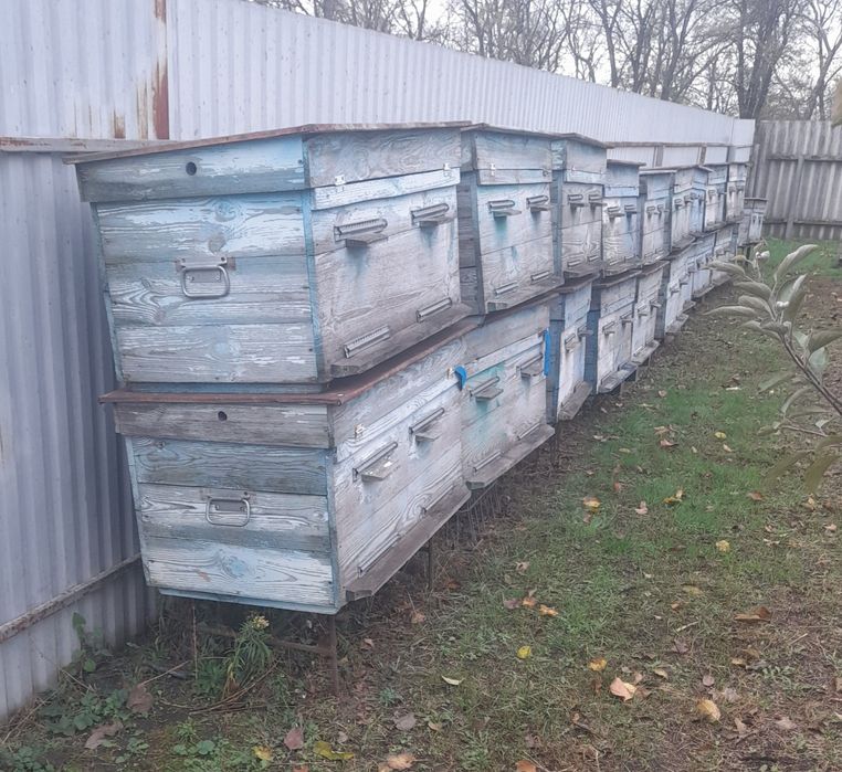 Вулики для бджіл лежак 22 рамки