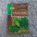 gloria victis eliza orzeszkowa