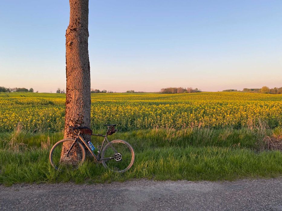 Rower gravel RONDO RUUT AL2 rozmiar L