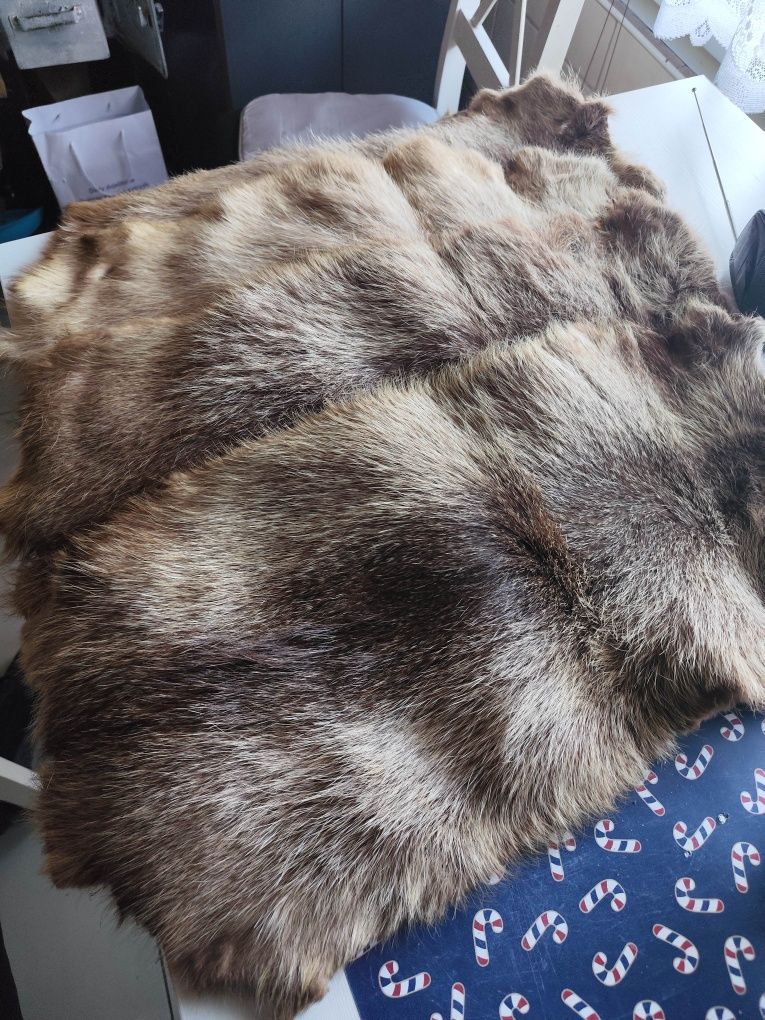 Zestaw skór wyprawionych naturalnych z nutrii. Sztuk 4.