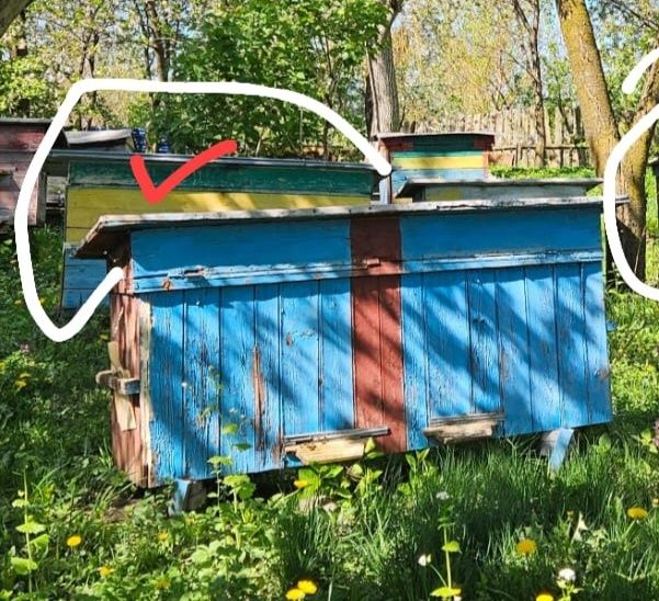 Вулики, без бджолів, на 2 сім'ї