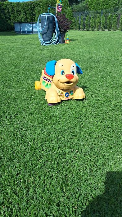 Fisher-Price Chodzik Jeździk Szczeniaczka Uczniaczka X6838