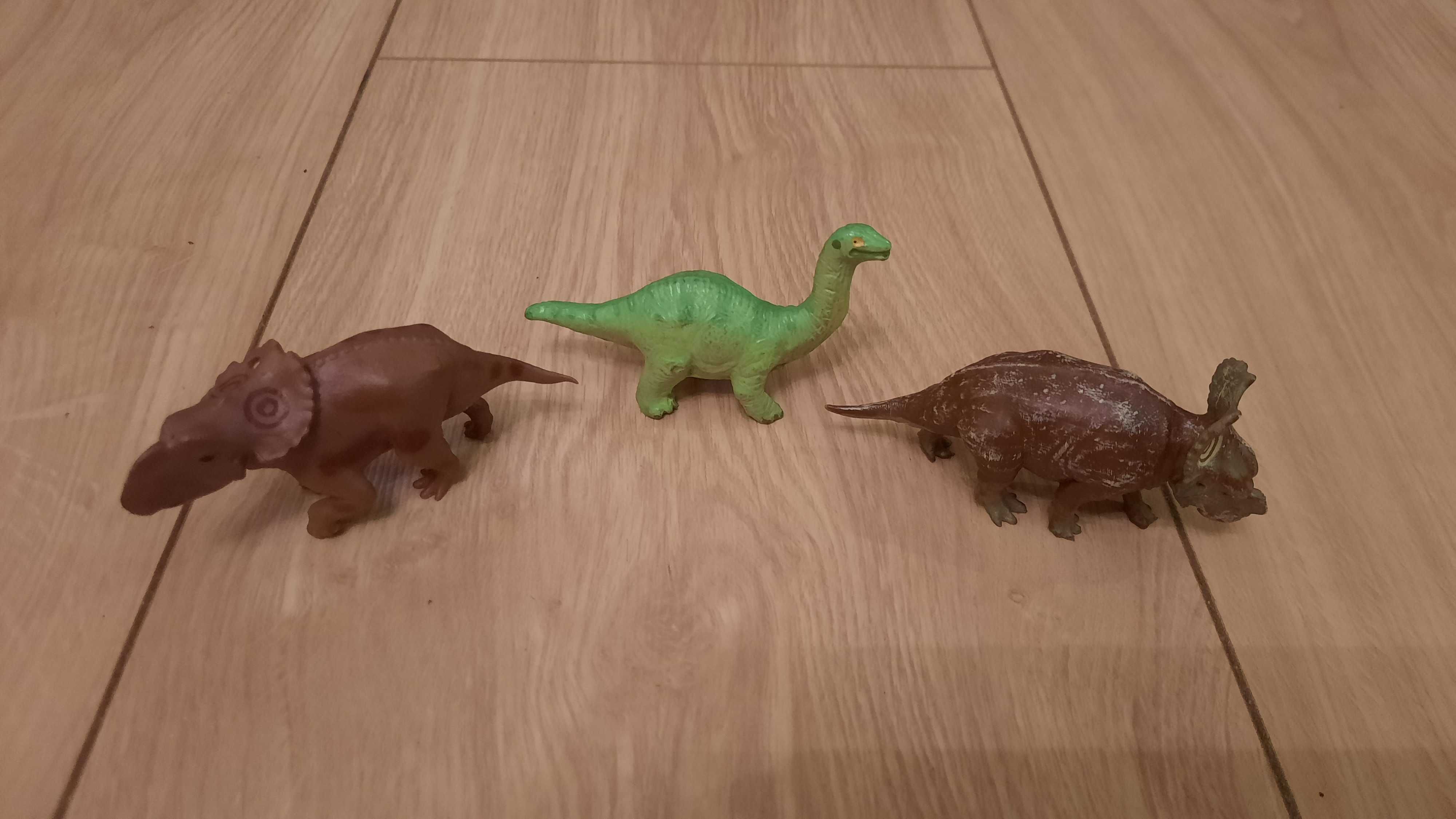 Dinozaury do kolekcji
