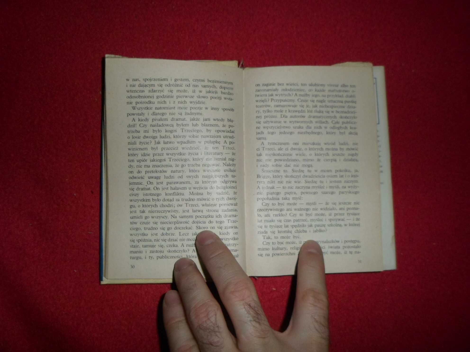 Rainer Maria Rilke - Malte [seria Nike]