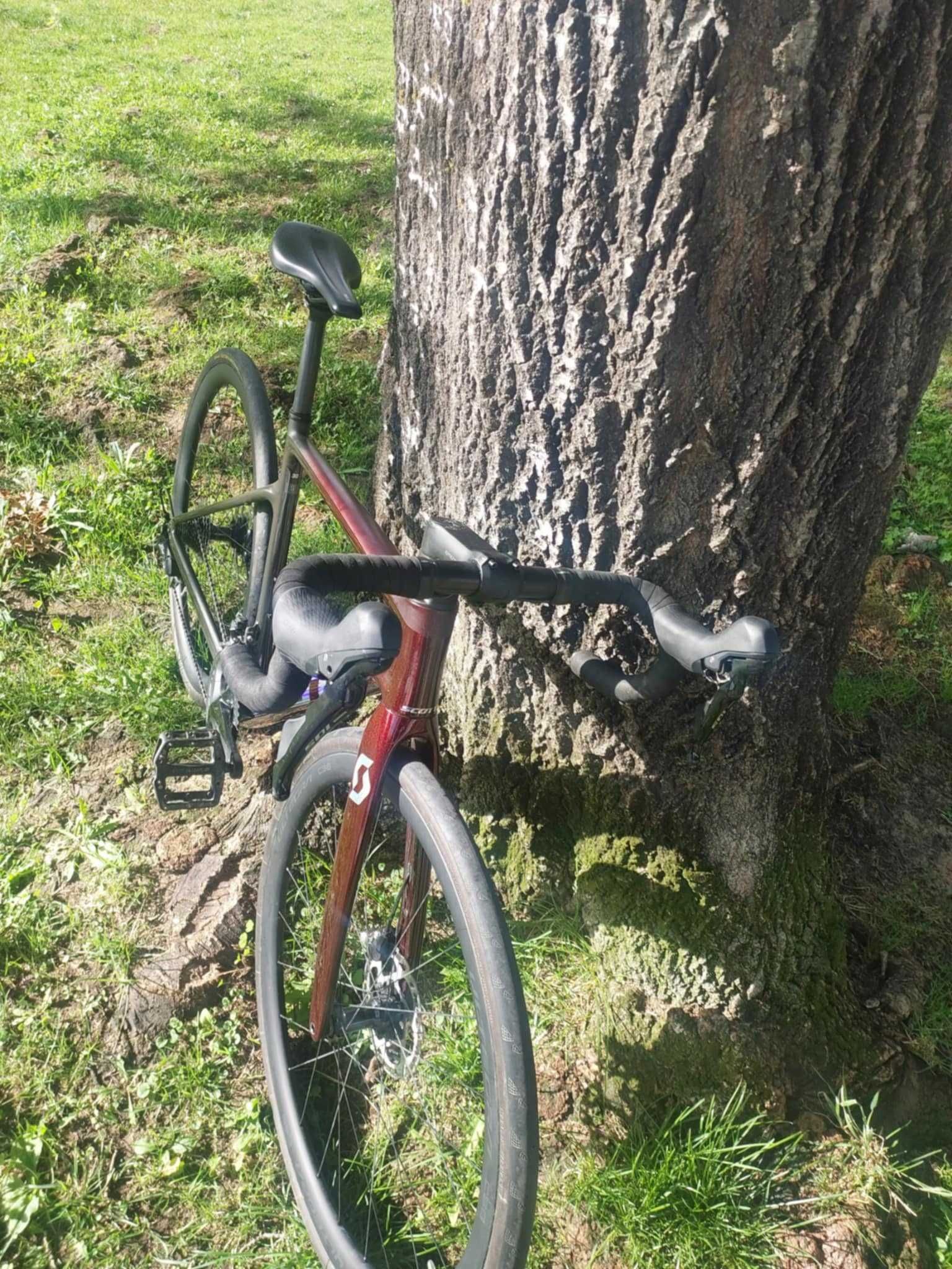 Scott Addict 30 2023 / Upgrade rodas Ultegra