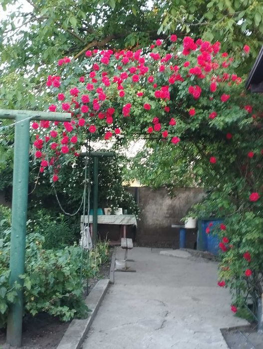 Будинок в селі Ковалівка