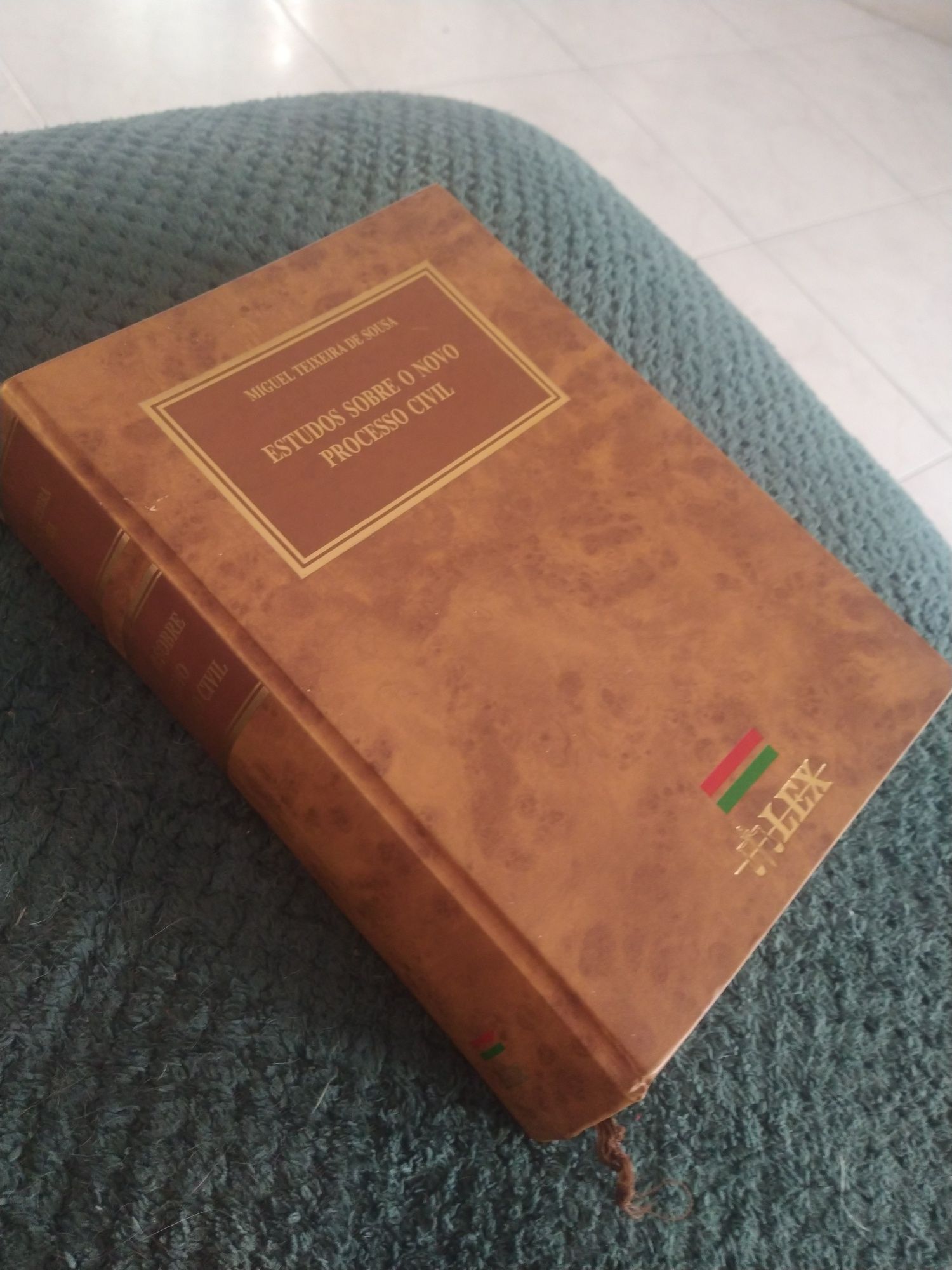 Estudos Sobre o Novo Processo Civil - Miguel Teixeira de Sousa
de Migu