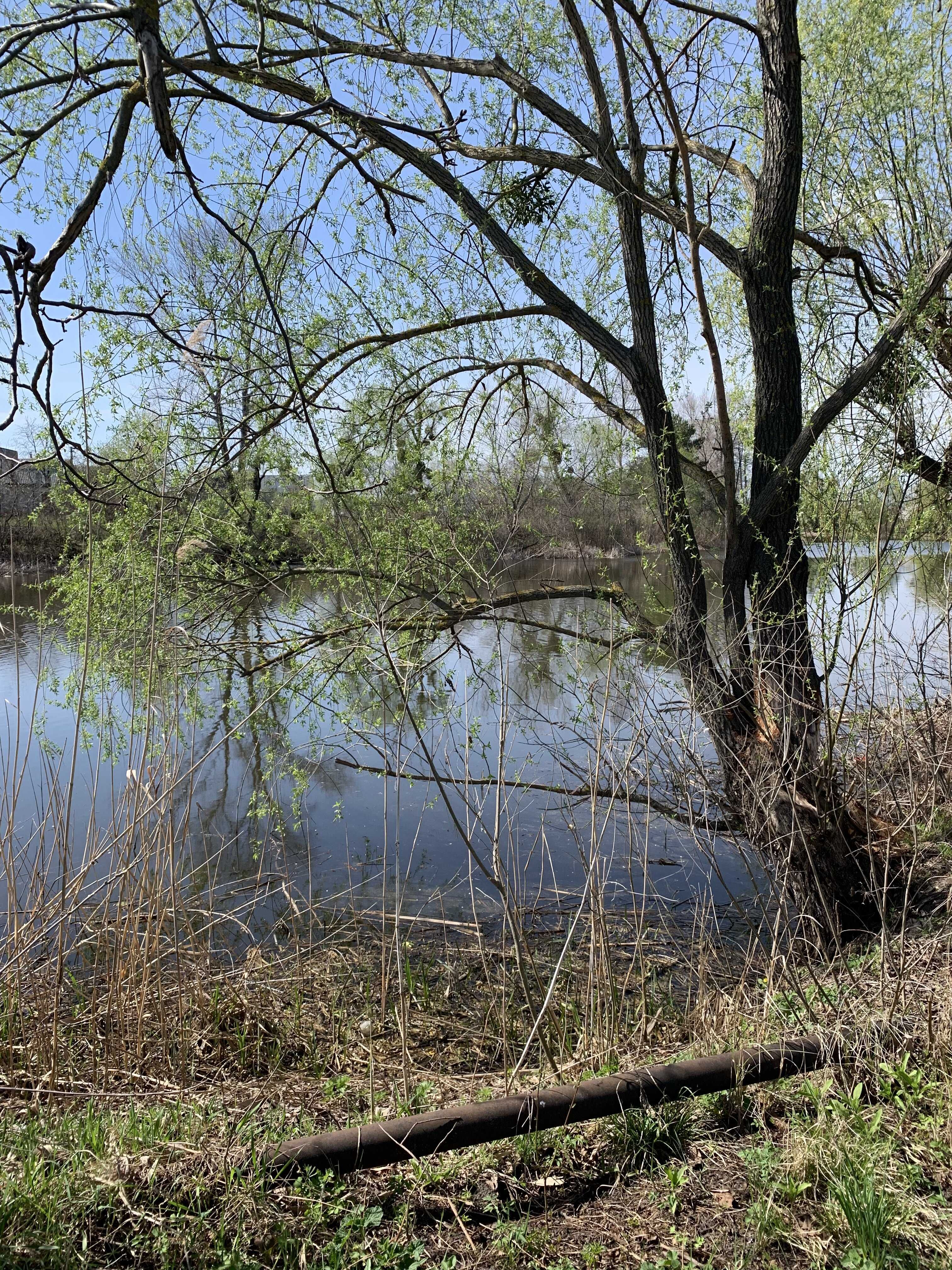 Дачна ділянка з виходом до річки - кооператив "Водник", с. Лозівок