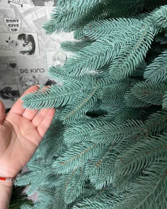 Лита Зелена та Блакитна Ялинка