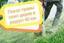 Покос травы любой сложности спил дерев розчистка участка