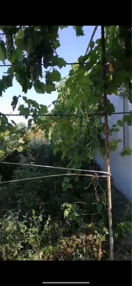Продам будинок з земельною ділянкою