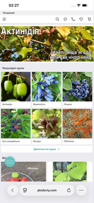 Жимолость саджанці 2-3 річні в горщиках!