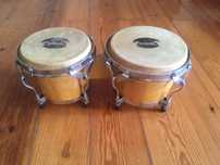 Bongos da marca Tribal
